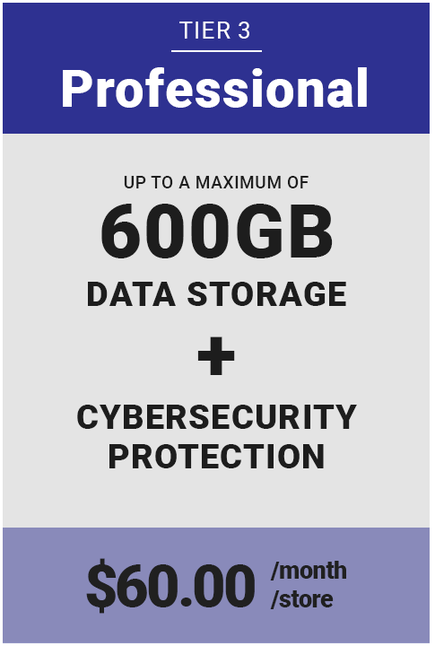 Tier three package - Professional - 600GB Storage with Cybersecurity protection is $60.00 per store per month
